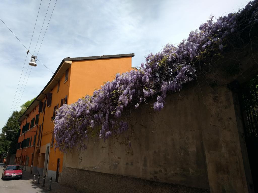 Malgrado House Bologna - Villa Nigrisoli - Sant'Orsola Eksteriør billede